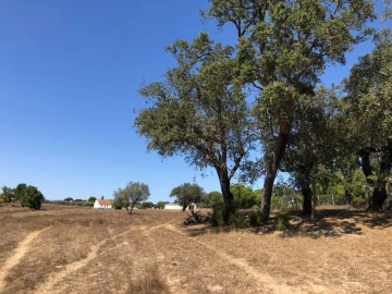 Terreno para Venda em Grândola e Santa Margarida da Serra