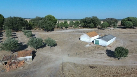 Terreno para Venda em Grândola e Santa Margarida da Serra
