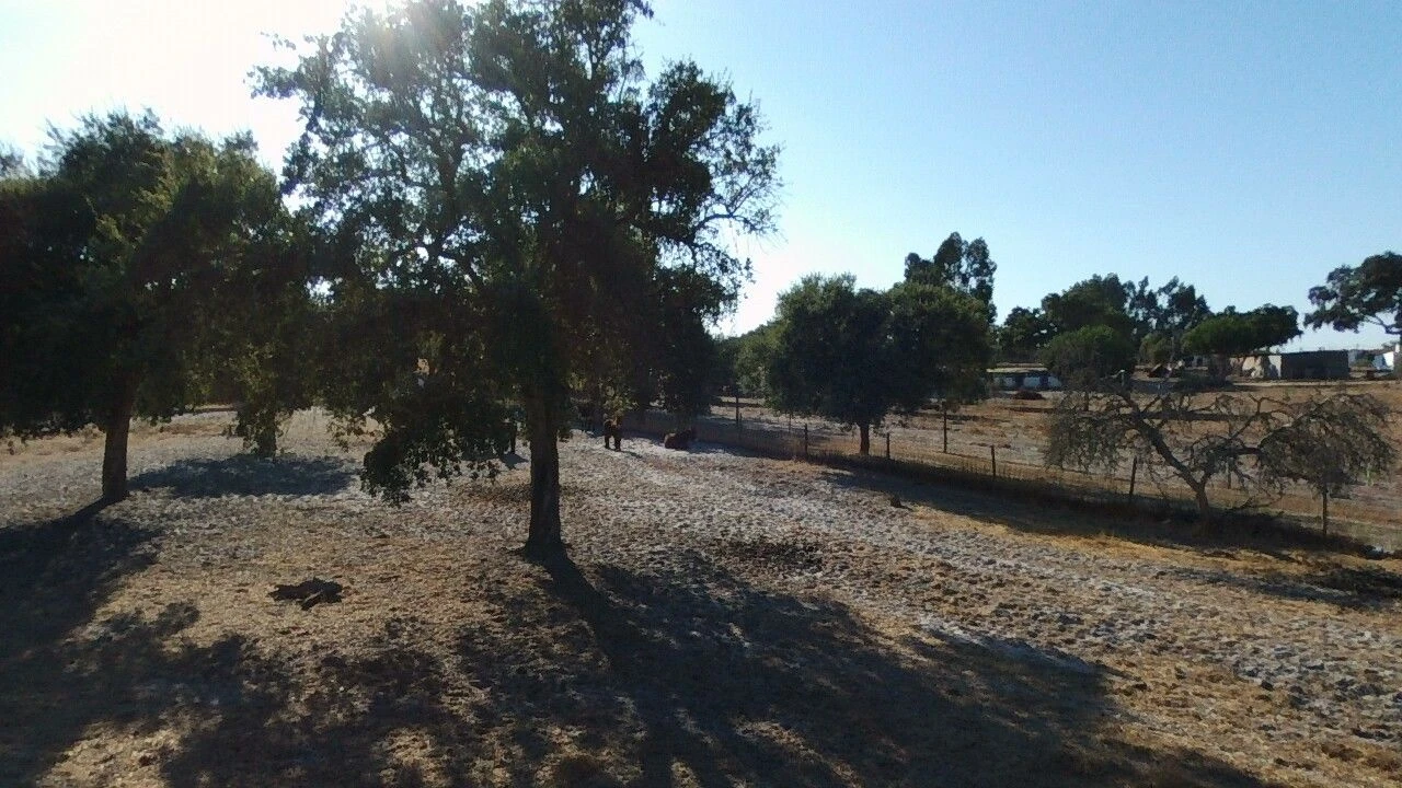Terreno para Venda em Grândola e Santa Margarida da Serra Foto 9