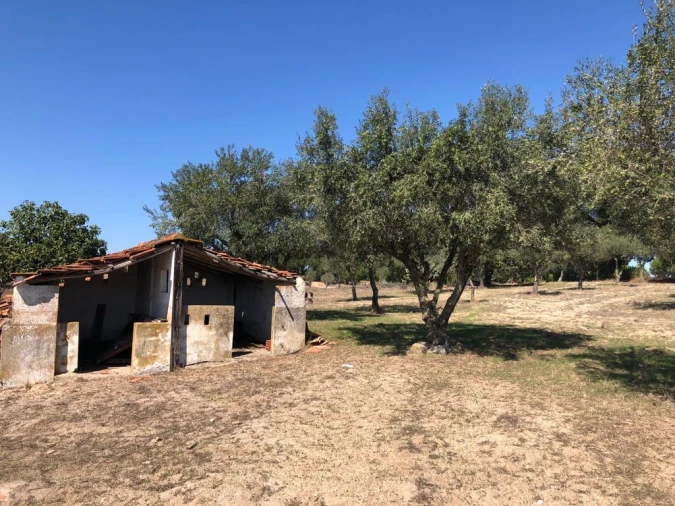 Terreno para Venda em Grândola e Santa Margarida da Serra Foto 15