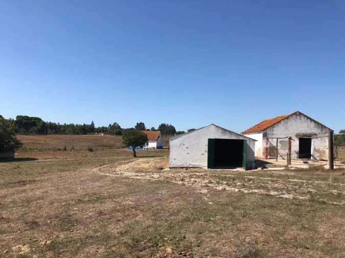 Terreno para Venda em Grândola e Santa Margarida da Serra Foto 13