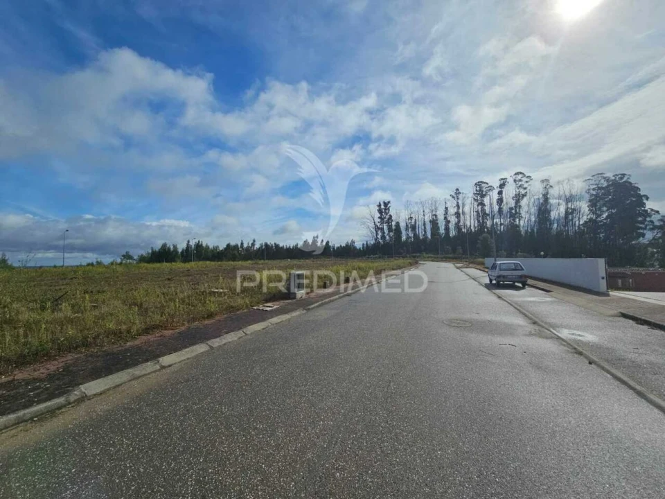 Terreno para Venda em São Pedro de Alva e São Paio de Mondego Foto 4