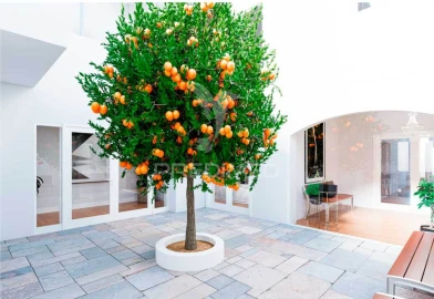 Apartamento T2 para Venda em Vila Real de Santo Antonio