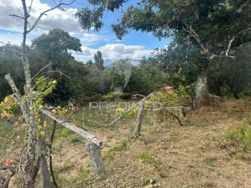 Quinta T6 para Venda em Gemieira