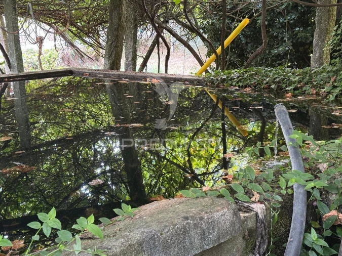 Quinta T6 para Venda em Gemieira Foto 6