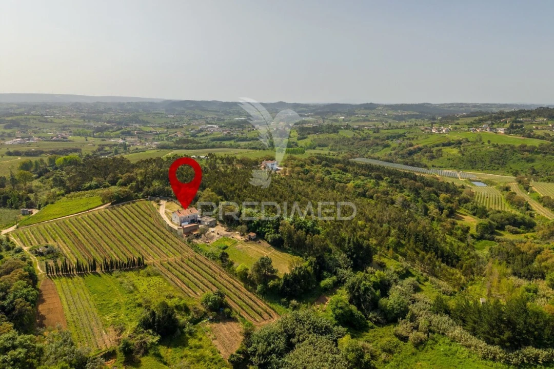 Quinta T3 para Venda em Cela Foto 39