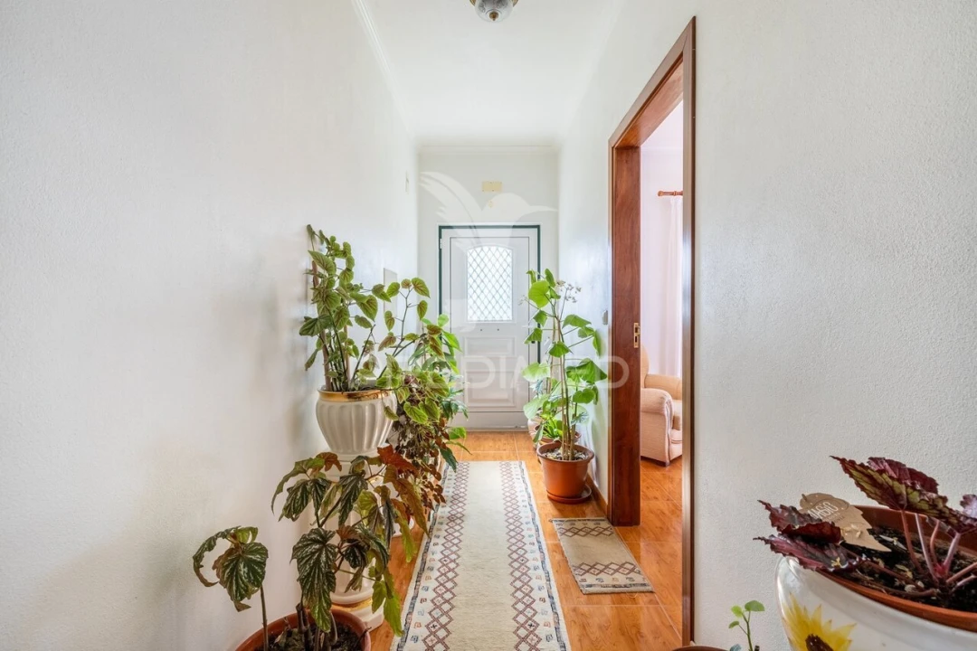 Quinta T3 para Venda em Cela Foto 4