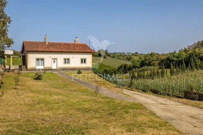 Quinta T3 para Venda em Cela