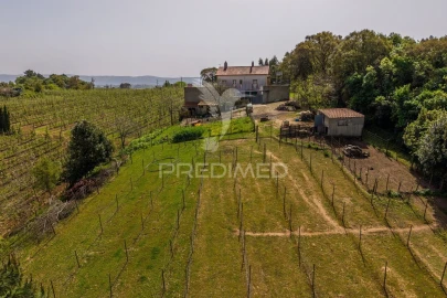 Quinta T3 para Venda em Cela