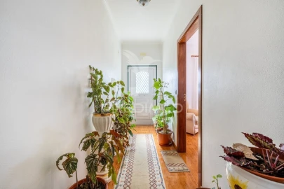 Quinta T3 para Venda em Cela