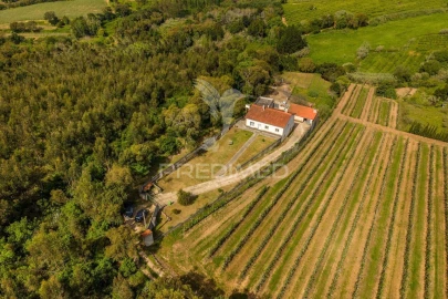 Quinta T3 para Venda em Cela