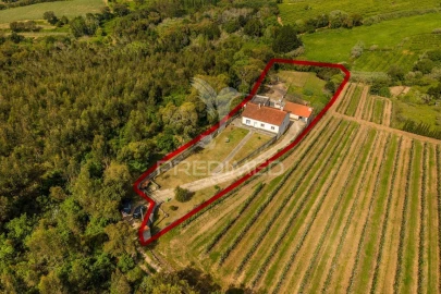 Quinta T3 para Venda em Cela