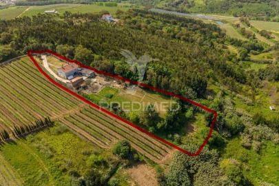 Quinta T3 para Venda em Cela