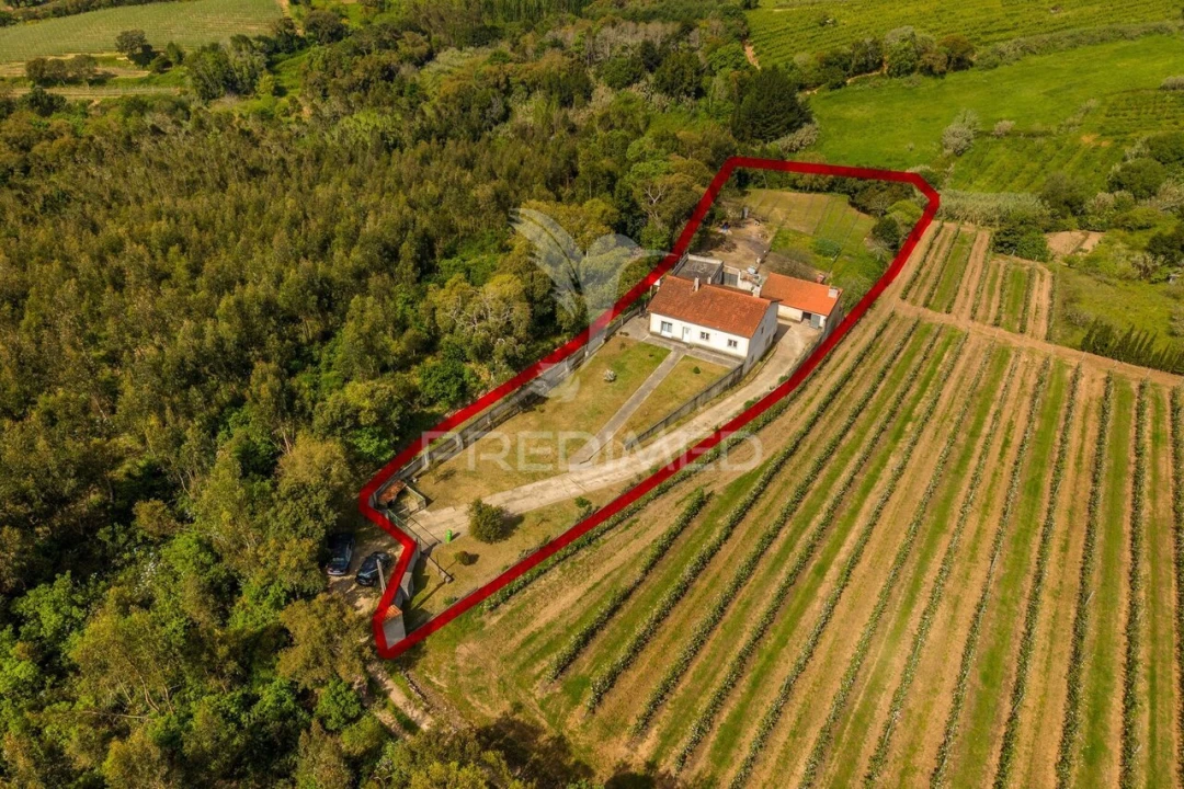 Quinta T3 para Venda em Cela Foto 37