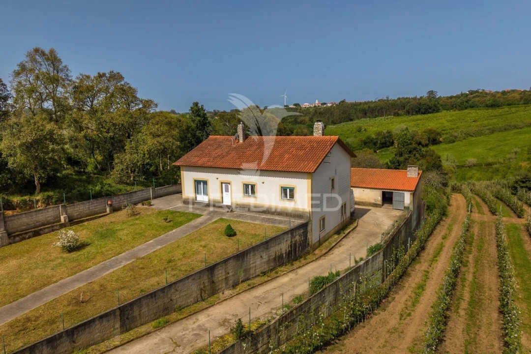 Quinta T3 para Venda em Cela Foto 33