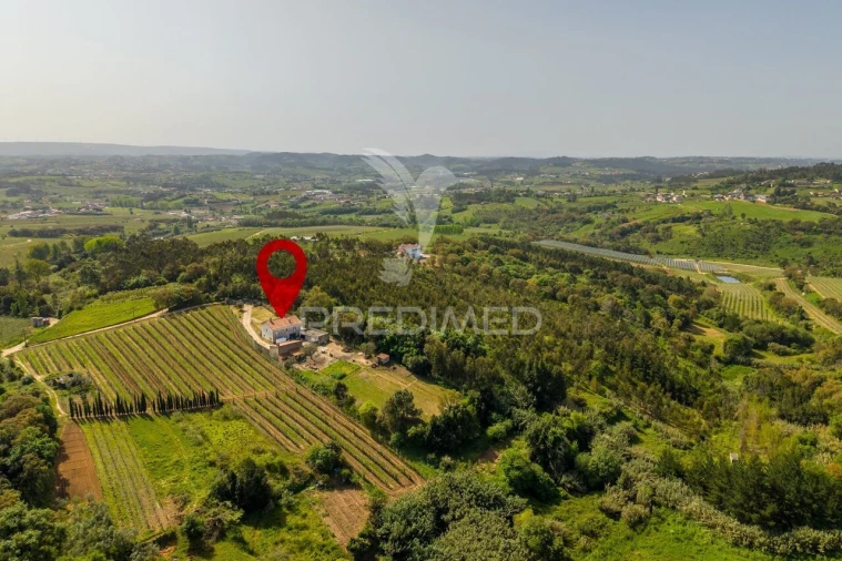 Quinta T3 para Venda em Cela Foto 39