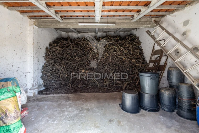 Quinta T3 para Venda em Cela Foto 28