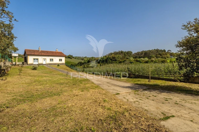 Quinta T3 para Venda em Cela Foto 34