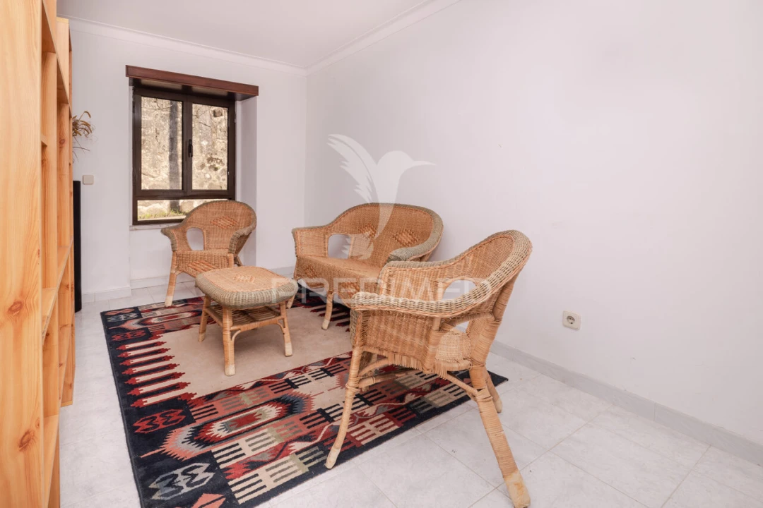 Moradia T3 para Venda em Ferreiros, Prozelo e Besteiros Foto 15