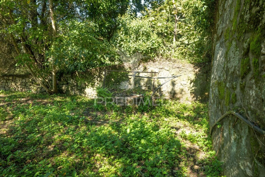 Moradia T3 para Venda em Ferreiros, Prozelo e Besteiros Foto 30