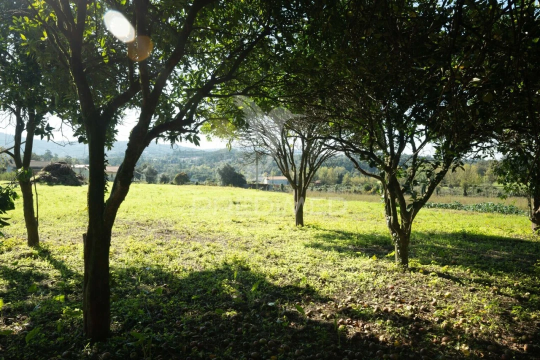 Moradia T3 para Venda em Ferreiros, Prozelo e Besteiros Foto 28