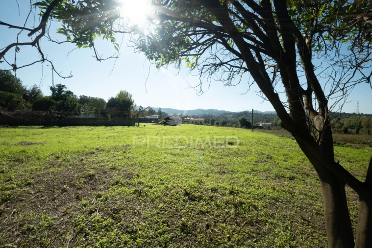 Moradia T3 para Venda em Ferreiros, Prozelo e Besteiros Foto 29