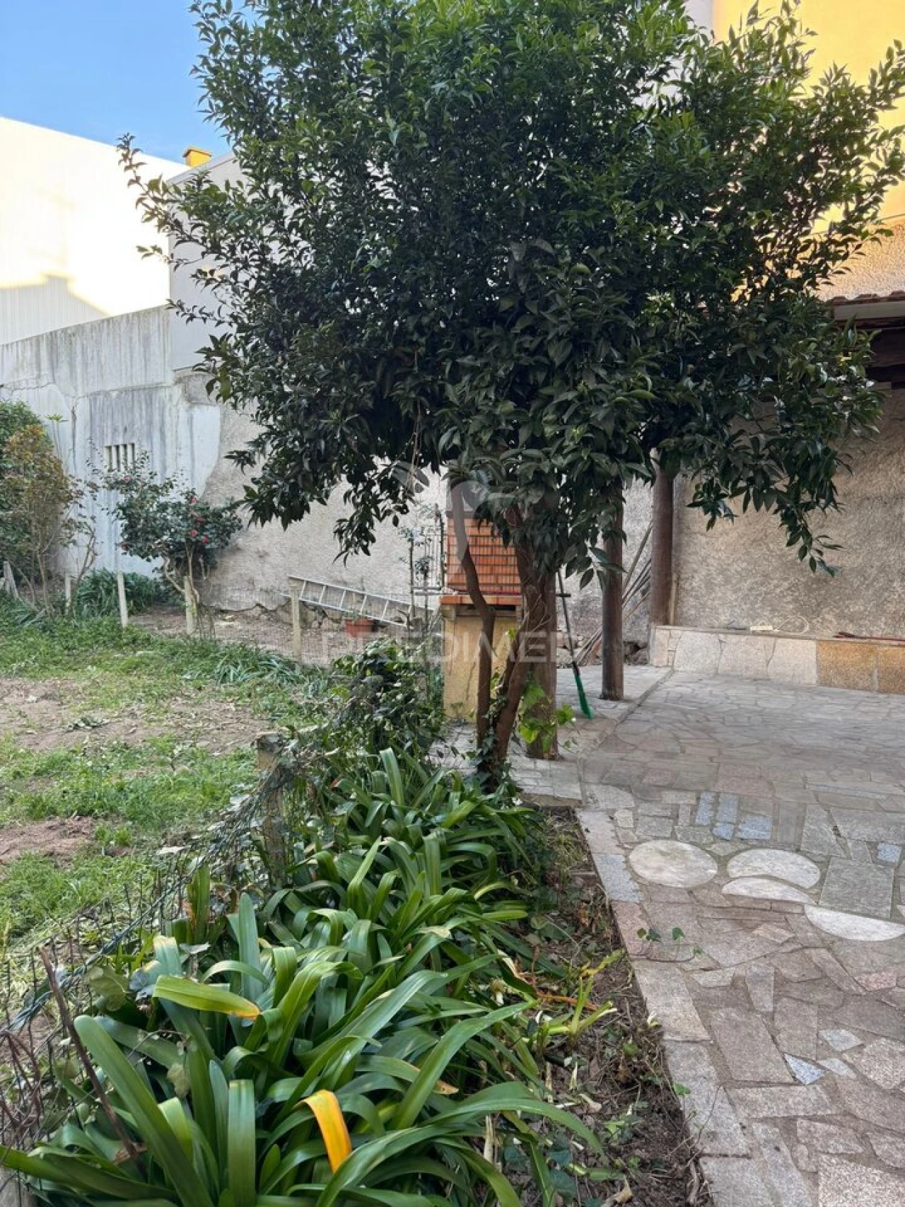 Apartamento T3 para Venda em Fafe Foto 21