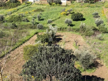 Moradia T6 para Venda em Mação, Penhascoso e Aboboreira