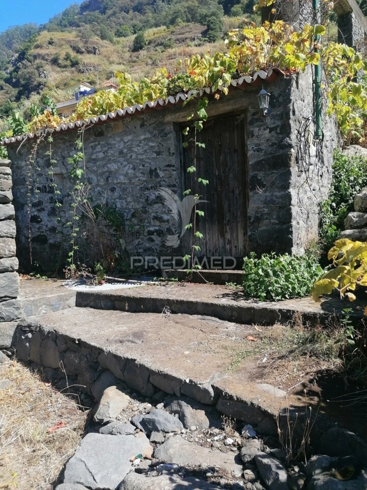 Moradia T1 para Venda em Tabua Foto 1