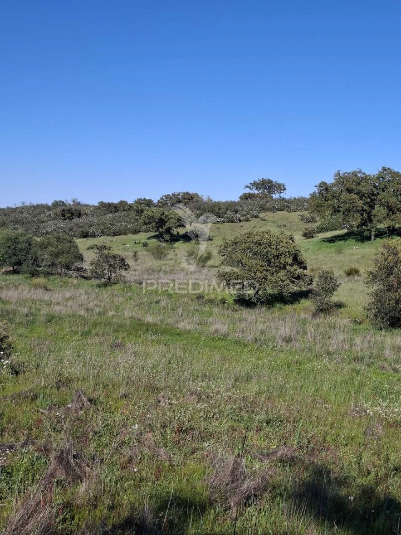 Terreno para Venda em Nossa Senhora da Conceição, São Brás dos Matos, Juromenha Foto 14
