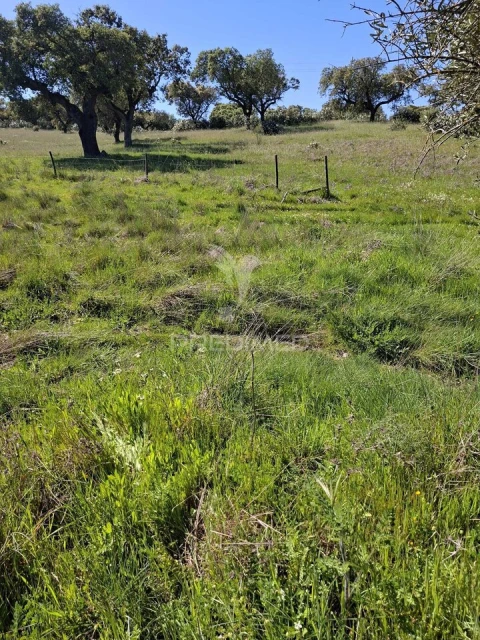 Terreno para Venda em Nossa Senhora da Conceição, São Brás dos Matos, Juromenha