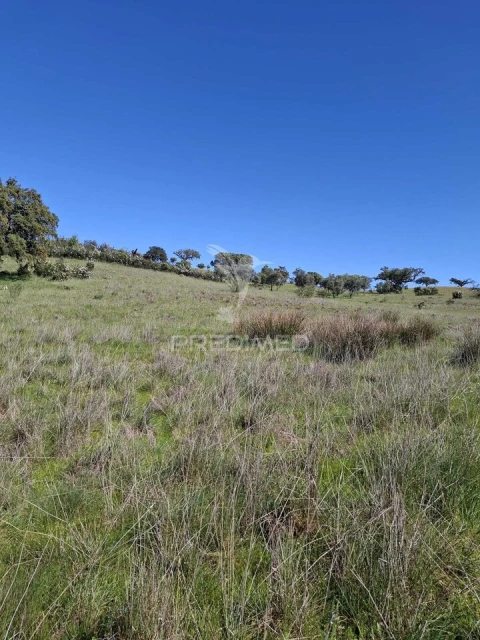 Terreno para Venda em Nossa Senhora da Conceição, São Brás dos Matos, Juromenha