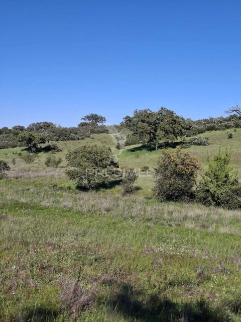 Terreno para Venda em Nossa Senhora da Conceição, São Brás dos Matos, Juromenha