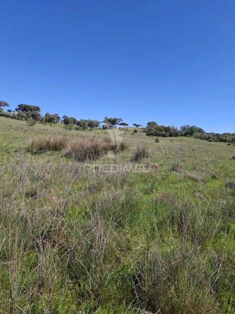 Terreno para Venda em Nossa Senhora da Conceição, São Brás dos Matos, Juromenha
