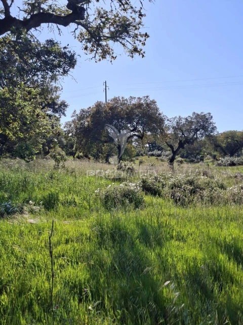 Terreno para Venda em Nossa Senhora da Conceição, São Brás dos Matos, Juromenha