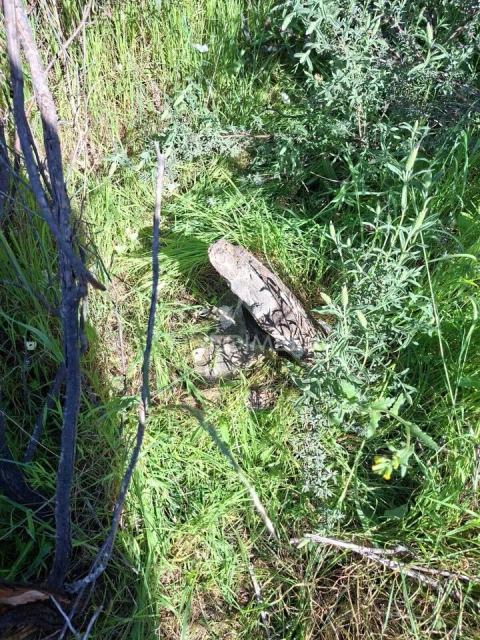 Terreno para Venda em Nossa Senhora da Conceição, São Brás dos Matos, Juromenha