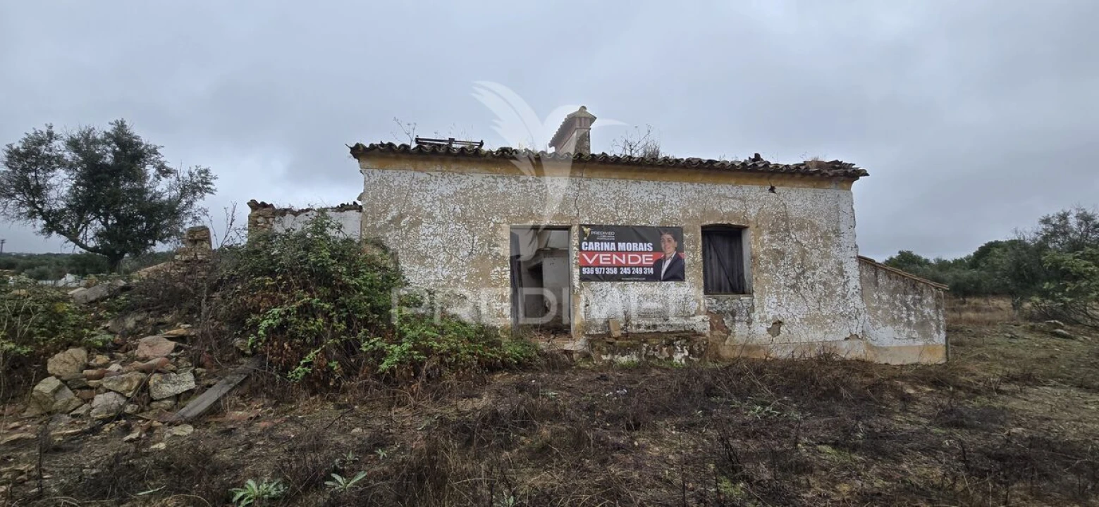 Terreno para Venda em Sé e São Lourenço Foto 2