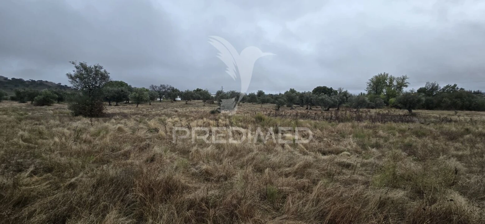 Terreno para Venda em Sé e São Lourenço Foto 6