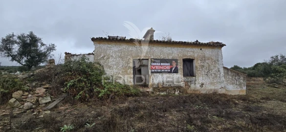 Terreno para Venda em Sé e São Lourenço