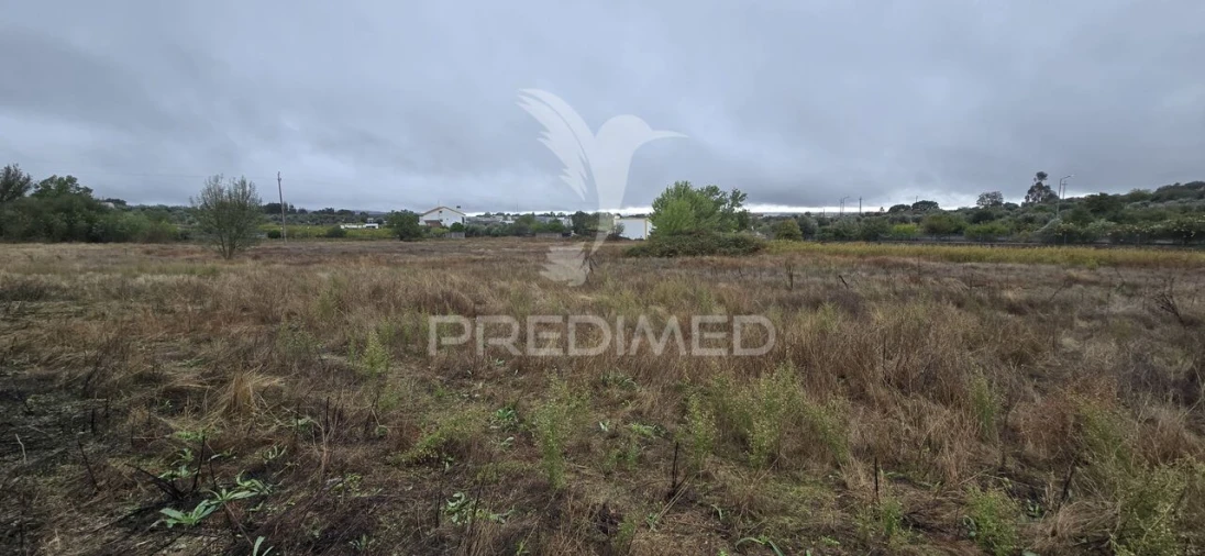 Terreno para Venda em Sé e São Lourenço Foto 3