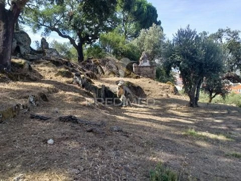 Terreno para Venda em Sé e São Lourenço Foto 11