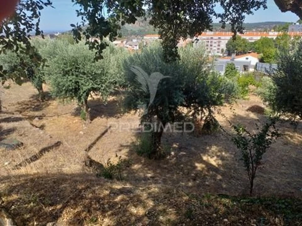 Terreno para Venda em Sé e São Lourenço Foto 10