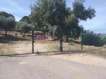 Terreno para Venda em Sé e São Lourenço