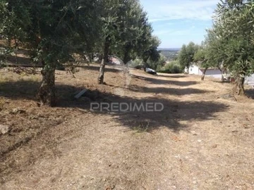 Terreno para Venda em Sé e São Lourenço