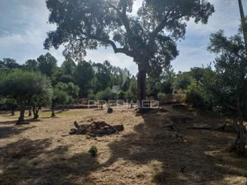 Terreno para Venda em Sé e São Lourenço