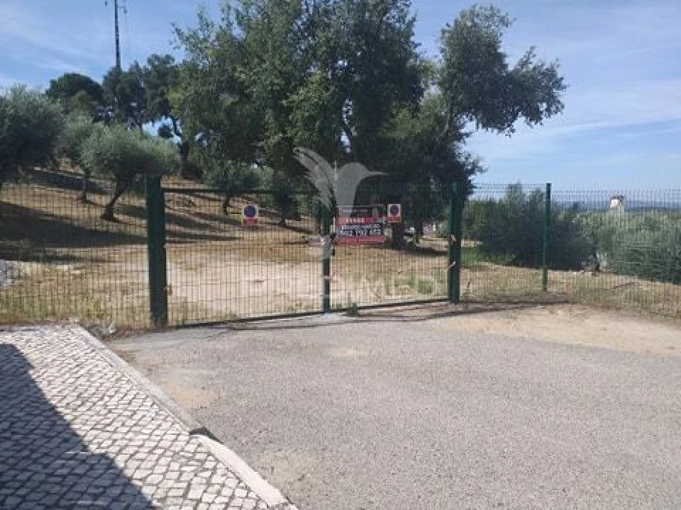 Terreno para Venda em Sé e São Lourenço Foto 9