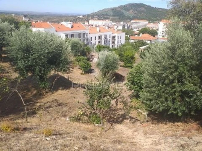 Terreno para Venda em Sé e São Lourenço Foto 6