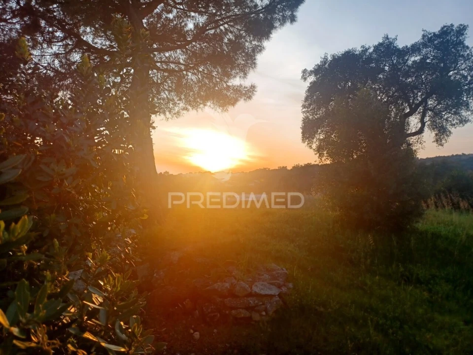 Quinta T0 para Venda em Sé e São Lourenço Foto 32