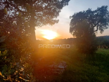 Quinta T0 para Venda em Sé e São Lourenço