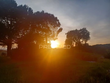 Quinta T0 para Venda em Sé e São Lourenço